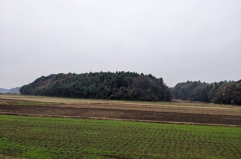 LINE_ALBUM_202397_231215_2